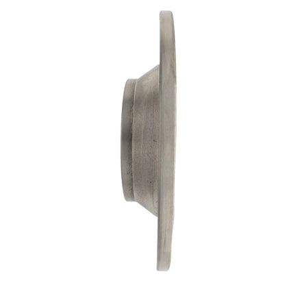 Centric Parts Disc Brake Rotor Standard with Non-Directional Finishes for 2006-2011 Audi A6 Quattro 121.33104