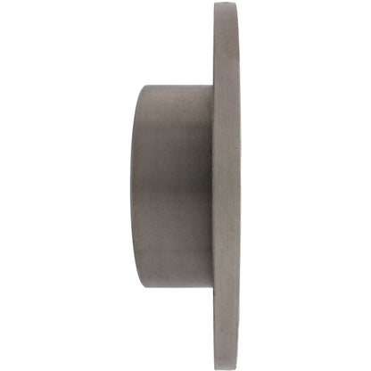 Centric Parts Disc Brake Rotor with Non-Directional Finishes 121.39004