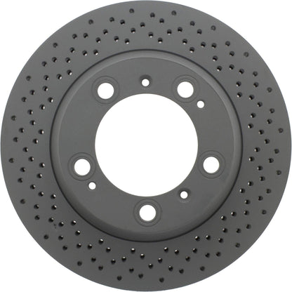 Centric Parts Disc Brake Rotor with Electrocoating finish
