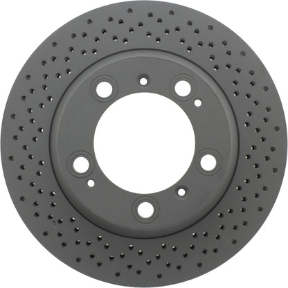 Centric Parts Disc Brake Rotor with Electrocoating finish