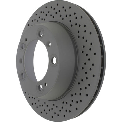 Centric Parts Disc Brake Rotor with Electrocoating finish