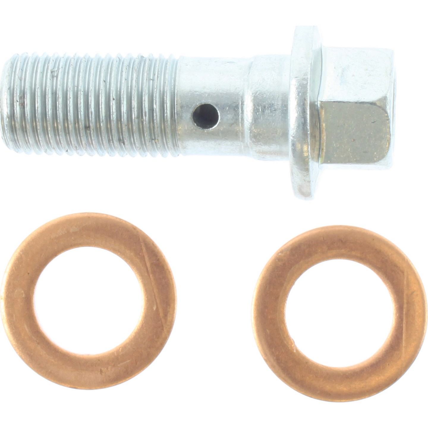 Centric Parts Disc Brake Caliper with anti-corrosion finish