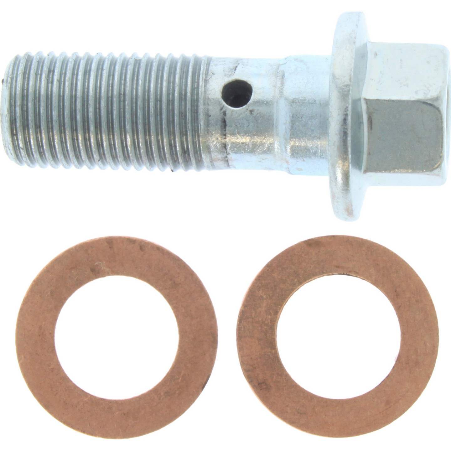 Centric Parts Disc Brake Caliper with anti-corrosion finish