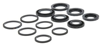 Centric Parts Disc Brake Caliper Repair Kit with O-rings and seals 143.34031