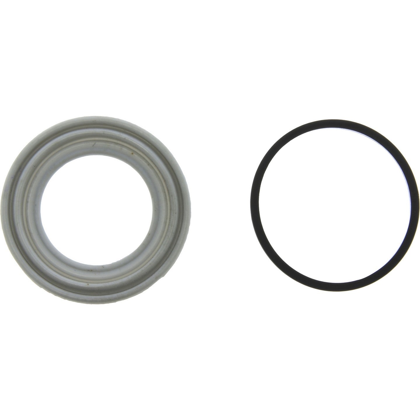 Centric Parts Disc Brake Caliper Repair Kit with O-rings and seals 143.67019