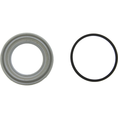 Centric Parts Disc Brake Caliper Repair Kit with O-rings and seals 143.67019