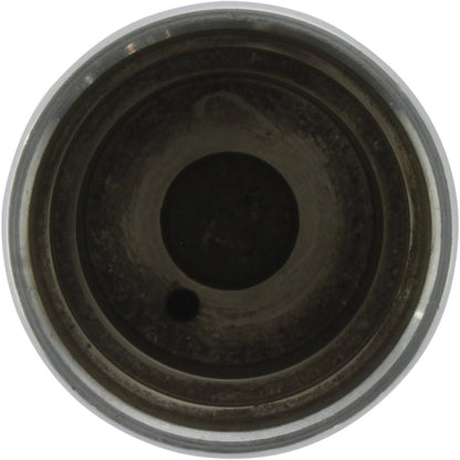 Centric Parts Disc Brake Caliper Piston 146.30005