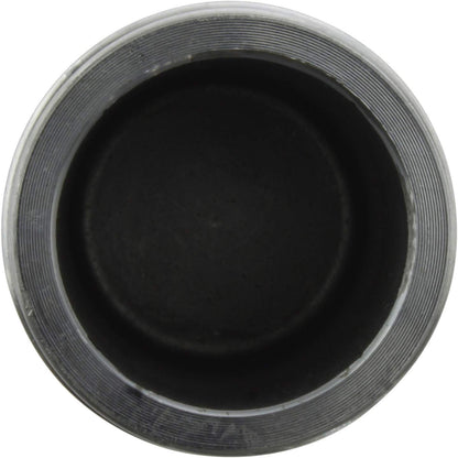 Centric Parts Caliper Piston 146.34006