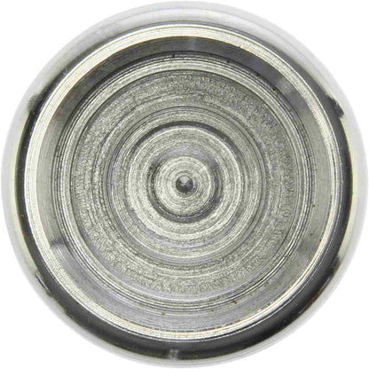 Centric Parts Disc Brake Caliper Piston 146.34007