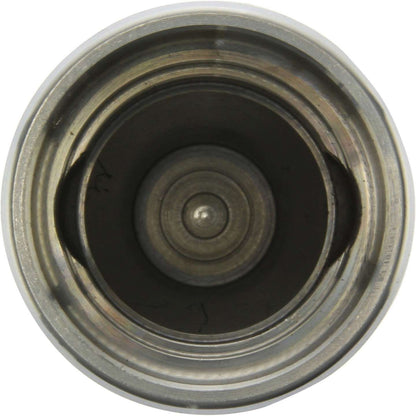 Centric Parts Disc Brake Caliper Piston 146.38011