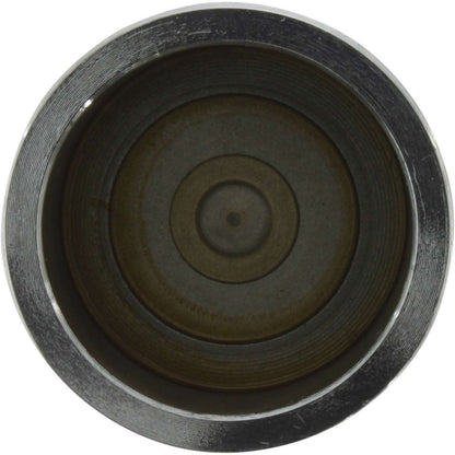Centric Parts Disc Brake Caliper Piston 146.38023