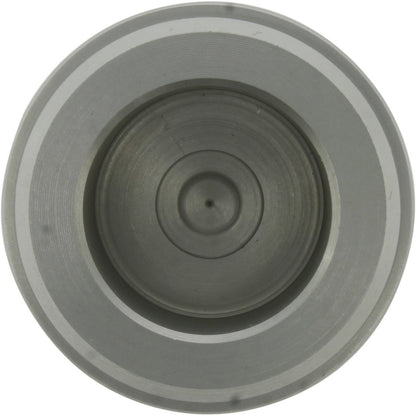 Centric Parts Disc Brake Caliper Piston 146.40038