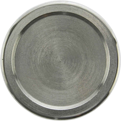 Centric Parts Disc Brake Caliper Piston 146.42006