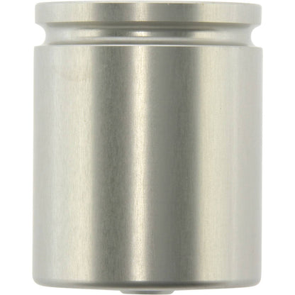 Centric Parts Disc Brake Caliper Piston 146.42019