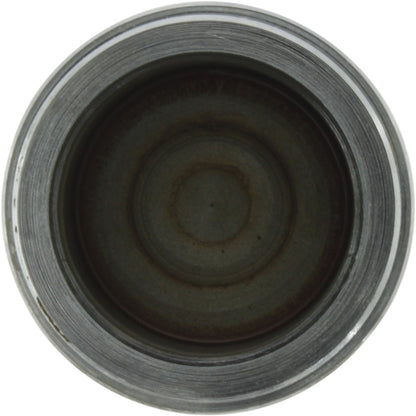Centric Parts Caliper Piston 146.45023
