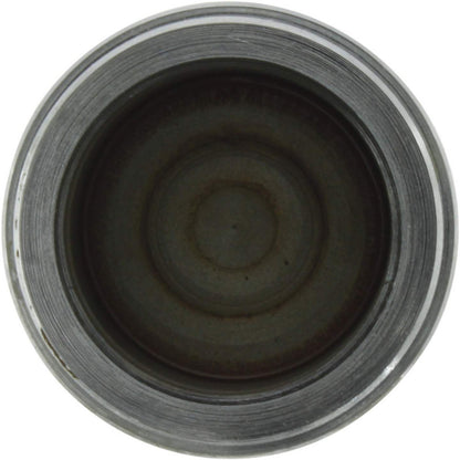 Centric Parts Caliper Piston 146.45023