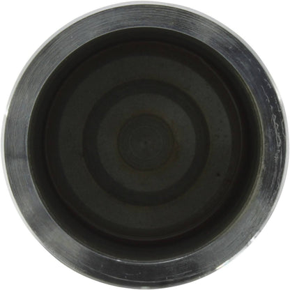 Centric Parts Disc Brake Caliper Piston Phenolic 146.48010