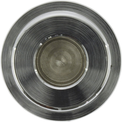 Centric Parts Caliper Piston 146.48029