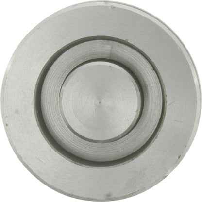 Centric Parts Disc Brake Caliper Piston 146.52003