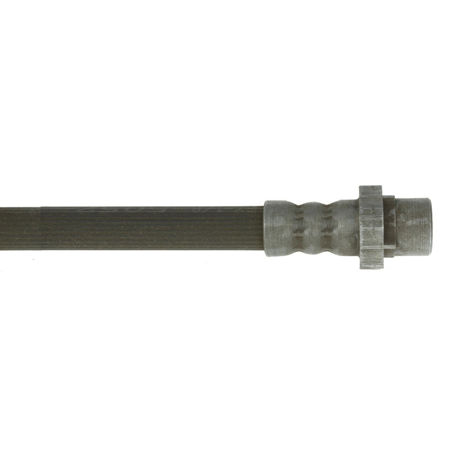Centric Parts Brake Hose 150.22011