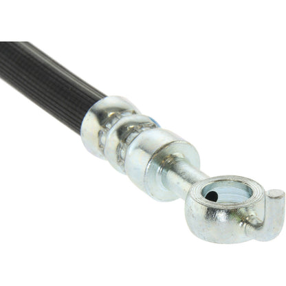 Centric Parts Brake Hose 150.39316