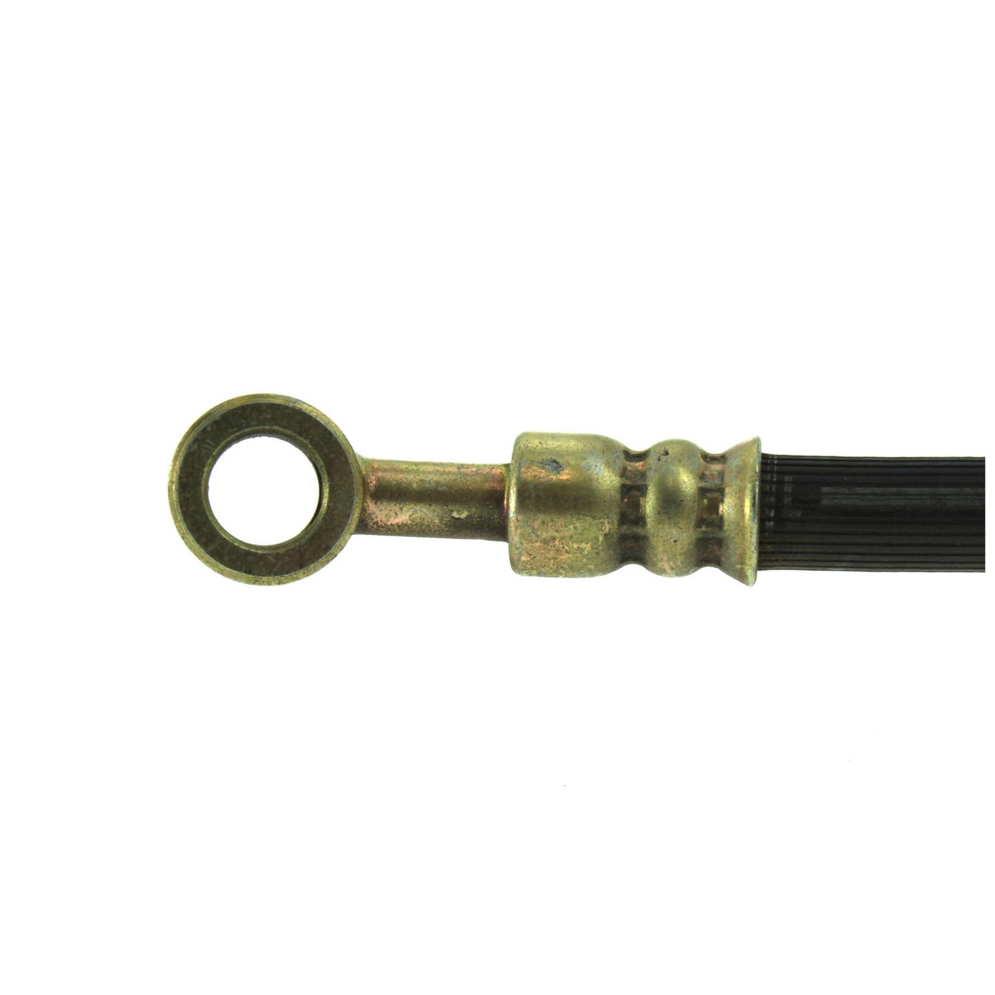 Centric Parts Brake Hose 150.42053