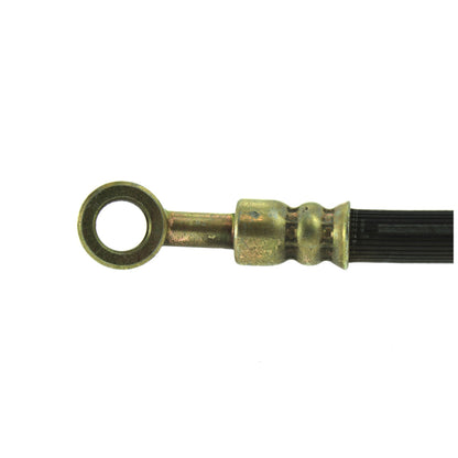 Centric Parts Brake Hose 150.42053