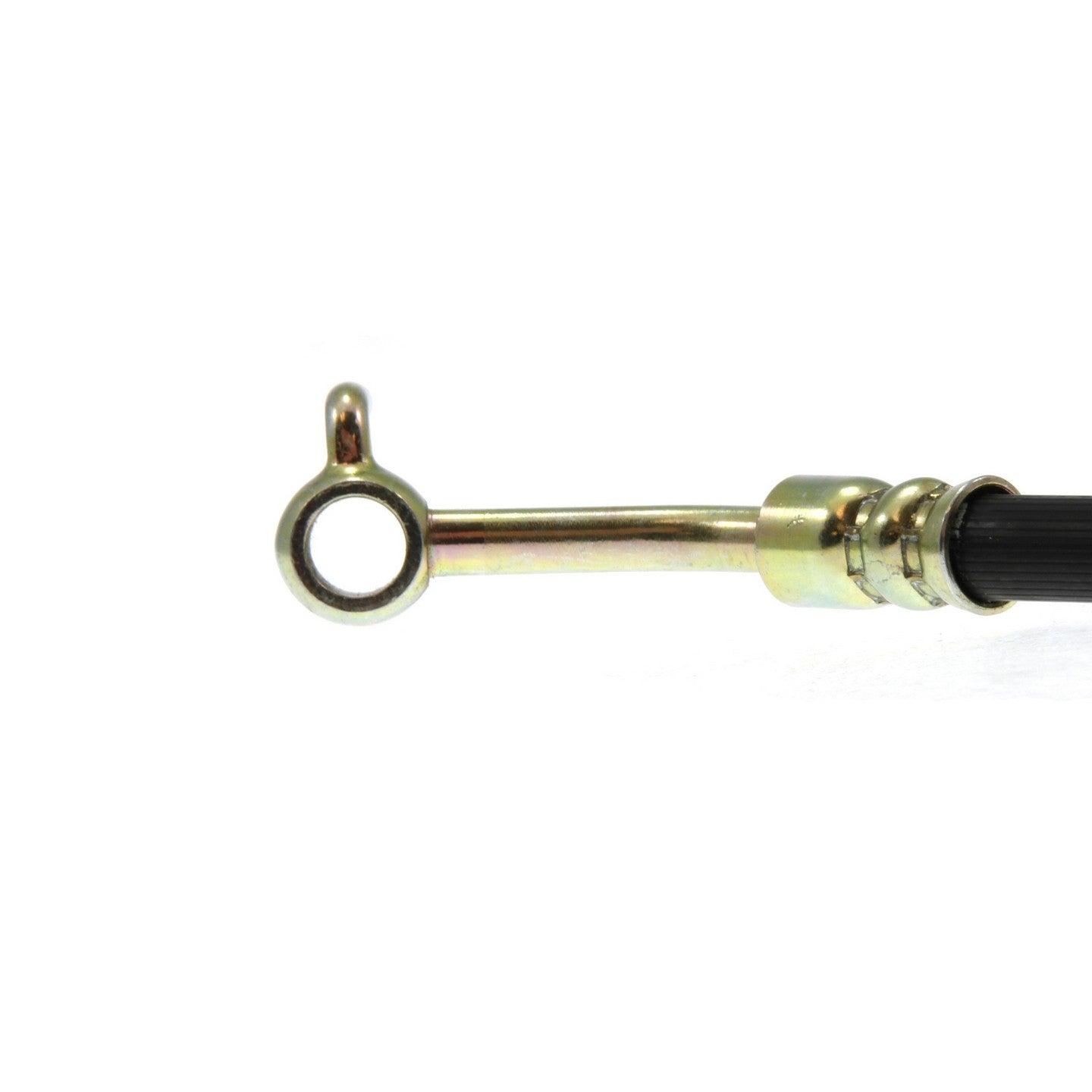 Centric Parts Brake Hose 150.42379