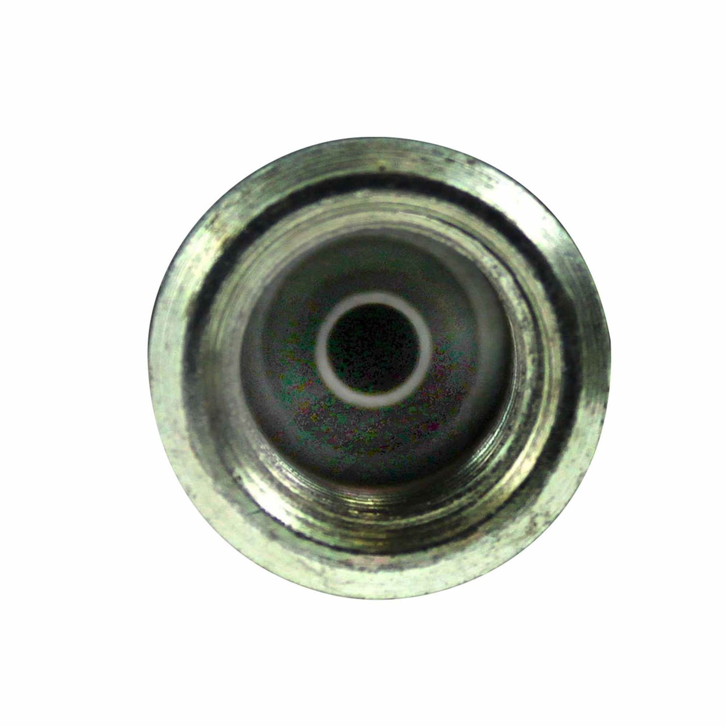 Centric Parts Brake Hose 150.44336