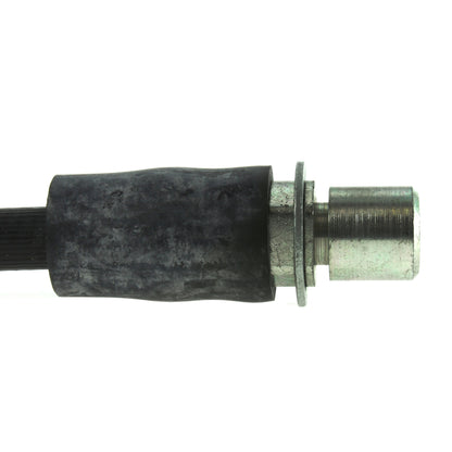 Centric Parts Brake Hose 150.44336