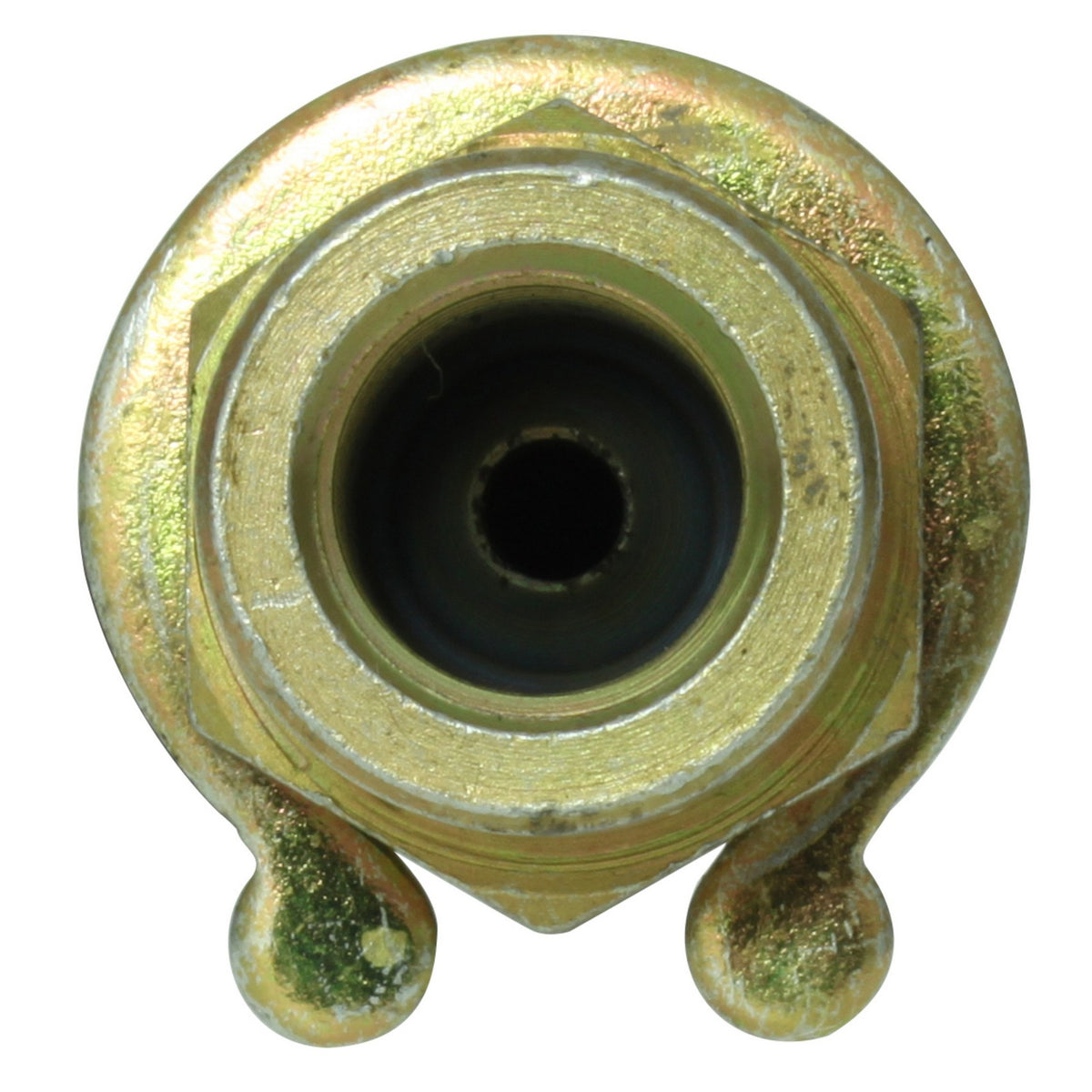 Centric Parts Brake Hose 150.44369