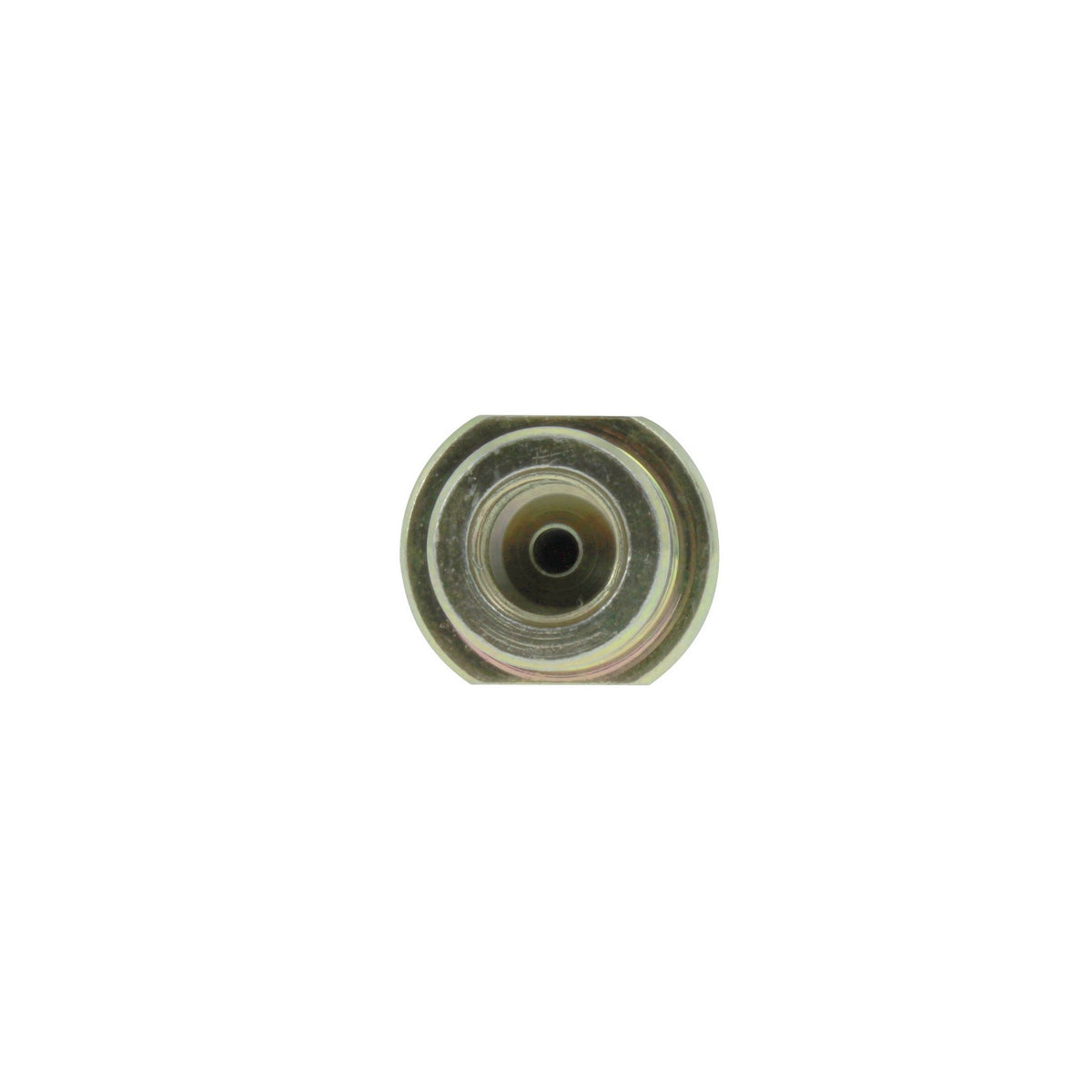Centric Parts Brake Hose 150.48019