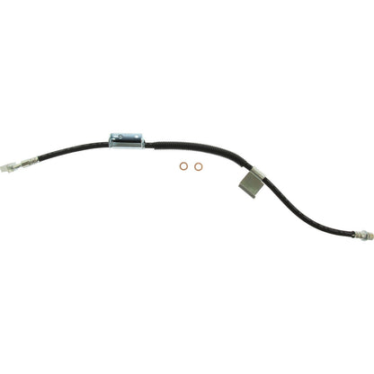 Centric Parts Brake Hose 150.66138
