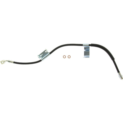 Centric Parts Brake Hose 150.66378