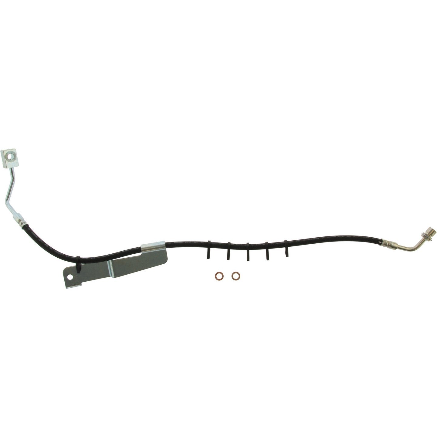 Centric Parts Brake Hose 150.80319