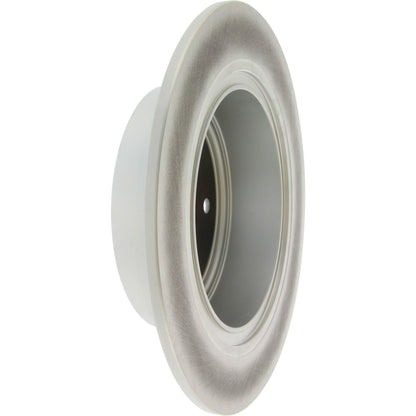 Centric Parts Disc Brake Rotor GCX with Partial Coating 320.42073