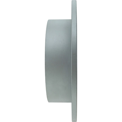 Centric Parts GCX Elemental Protection Brake Rotors By StopTech 320.46069