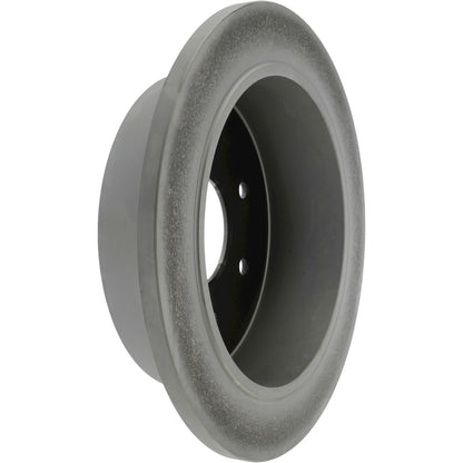 Centric Parts Disc Brake Rotor GCX with Full Coating 320.65061F