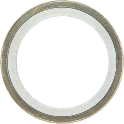 Centric Parts Premium Bearing Race 416.64004