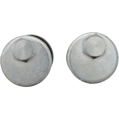 Centric Parts Alignment Cam Bolt Kit Premium Ecc Camber 699.66001
