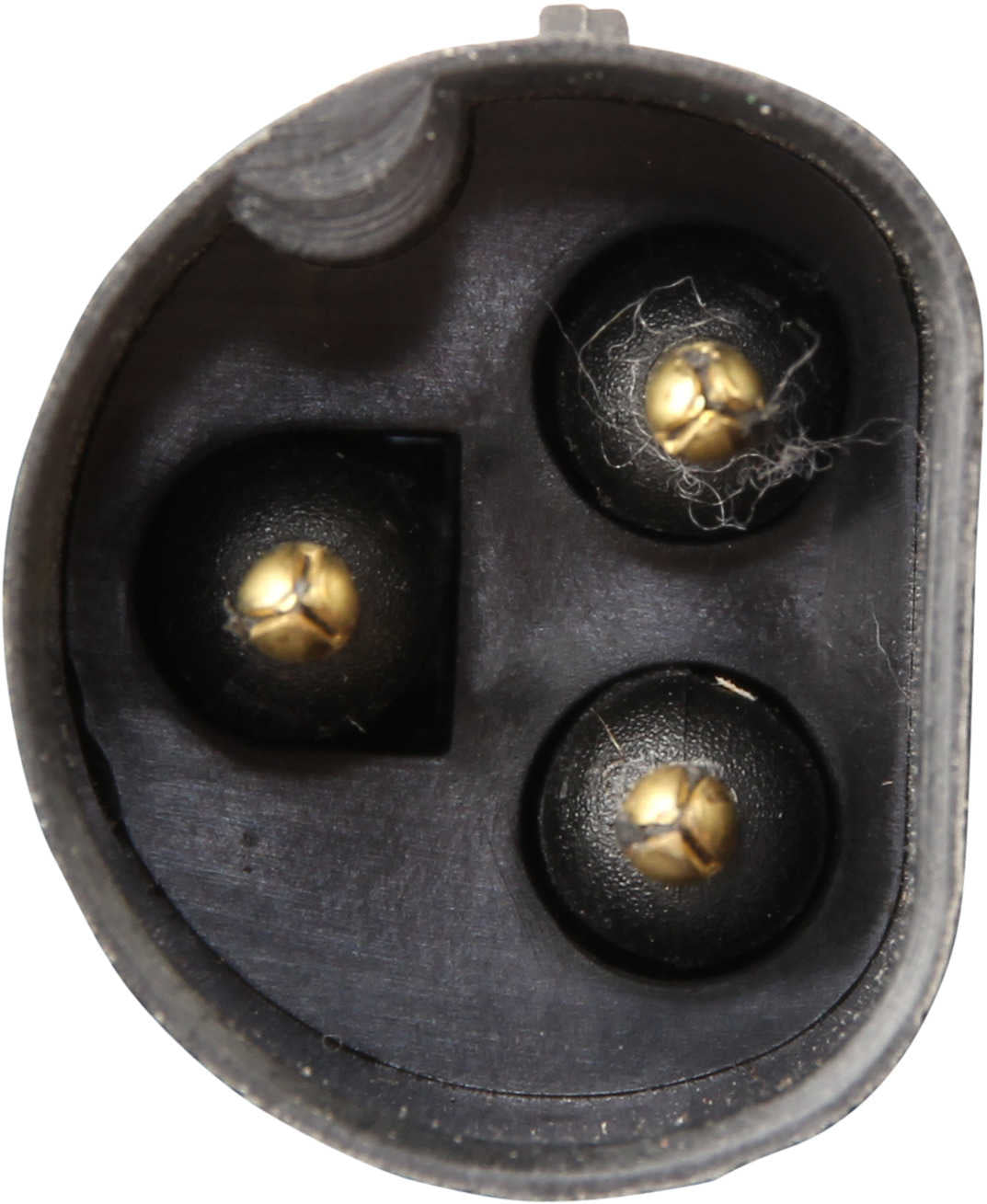 CoolXPert Engine Cooling Fan Motor