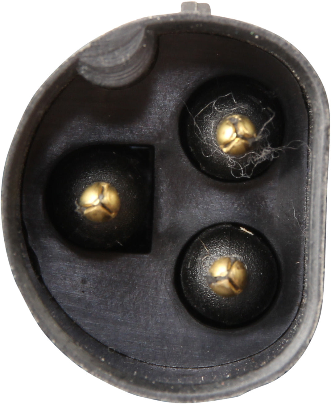 CoolXPert Engine Cooling Fan Motor