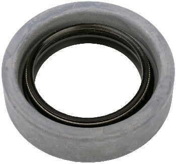 SKF Oil Seals 16189