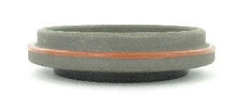 SKF Differential Pinion Seal 18891