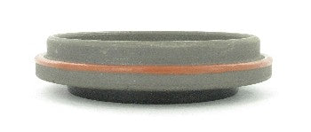SKF Differential Pinion Seal 18891