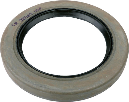 SKF Oil Seals 25065