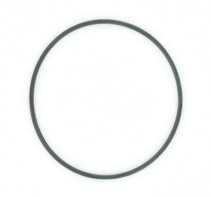 SKF Wheel Bearing O-Ring 42G00