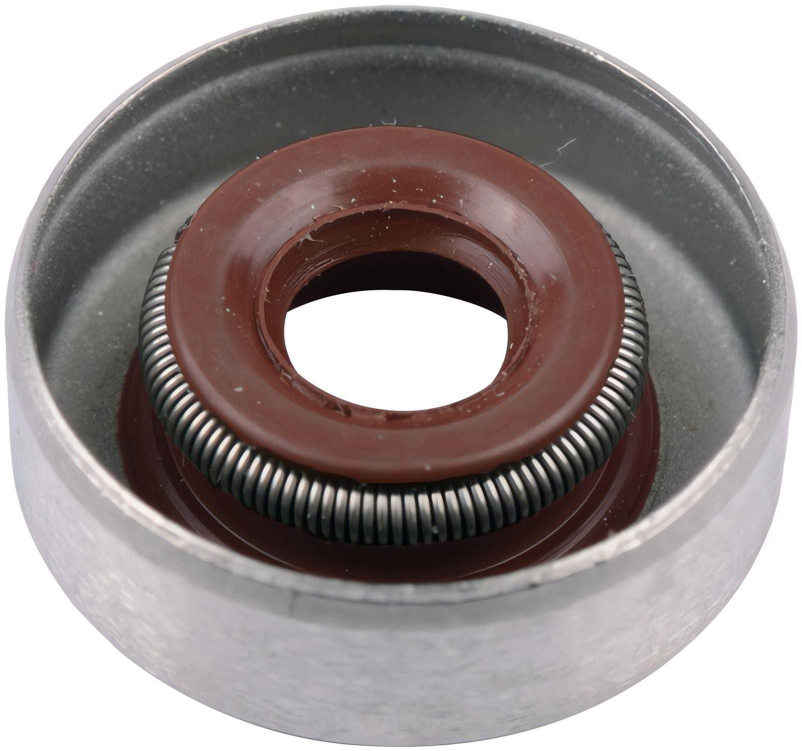 SKF Multi-Purpose Seal  top view frsport 4923