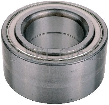 SKF Wheel Bearing FW171