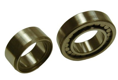 SKF Differential Pinion Pilot Bearing MU1305UM18